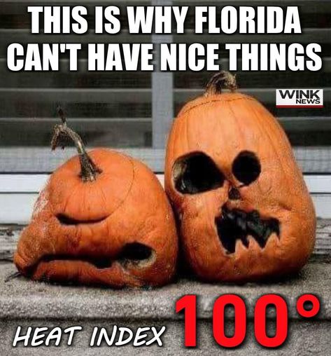 Florida Meme, Florida Quotes, Florida Funny, Florida Vibes, Hate Summer, Fall Humor, Fall Memes, First Day Of Fall, Summer Funny