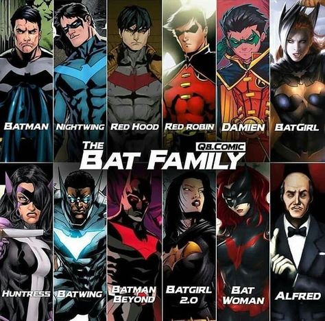 Dc Comics Bat Family, All Robins Bat Family, Dc Bat Family, The Batfamily, The Bat Family, Batman And Batgirl, Dc Comics Heroes, Flash Arrow, Univers Dc