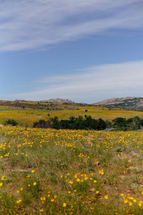 Oklahoma Wildlife, Oklahoma Nature, Oklahoma Aesthetic, Oklahoma Scenery, Oklahoma Road Trip, Travel Destinations With Kids, Oklahoma Decor, Trans Film, Oklahoma Landscape