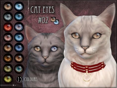 Non-default Eyes for the Sims 4 cats Found in TSR Category 'Sims 4 Sets' Sims 4 Pets Mod, Sims Pets, Ts4 Mods, Sims 4 Cc Eyes, Sims Packs, Sims Ideas, Sims 4 Gameplay, Sims 4 Characters, Cat Eyes