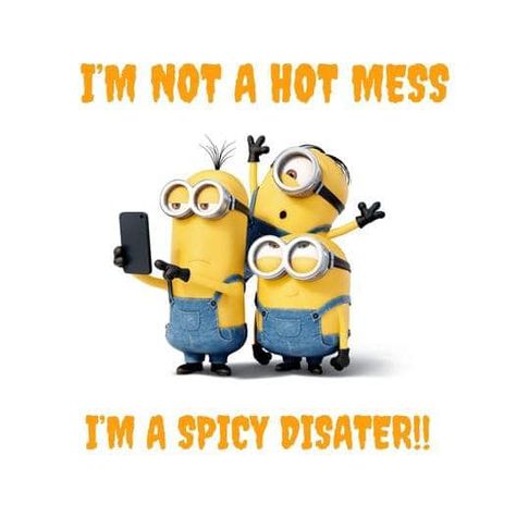 Minion Talk, Hot Mess, Disney Animation, Movie Characters, Minion, Disney, Quotes, Minions