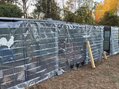 Metal Shed Chicken Coop Ideas, Winterize Chicken Run, How To Winterize Chicken Coop, Winterized Chicken Coop, Chicken Coop Insulation Ideas, Winterizing Chicken Coop, Winterize Chicken Coop, Coop Interior, Chicken Coop Winter