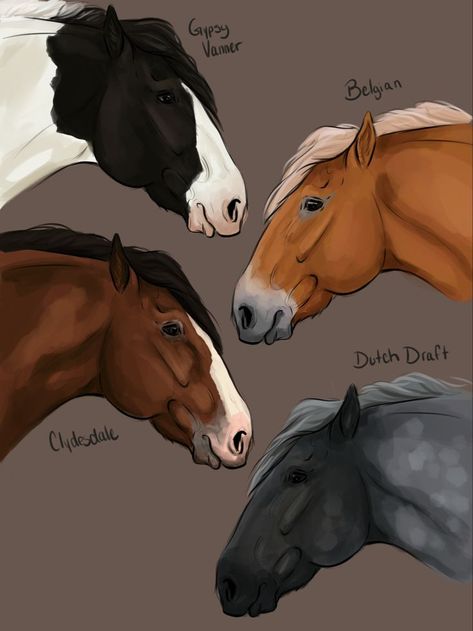 Draft Horse Drawing, Big Horse Breeds, Horse Art Ideas, Dog Design Art, Horse Markings, Horse Art Drawing, Horse Coat Colors, Horses Art, Horse Sketch