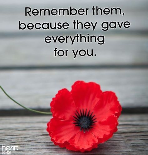 D Day Remembrance, Rememberence Day Quotes, Patriots Painting, Remembrance Day Images, Remembrance Day Poems, Remembrance Day Pictures, Remembrance Day Quotes, Poppy Poster, Plane Silhouette