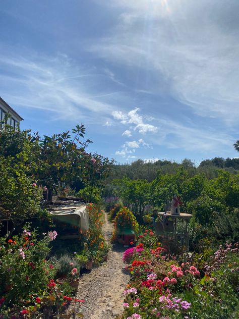 pretty garden in Alcudia School Flower Garden, Backyard Flower Garden Aesthetic, Cute Gardens, Pretty Garden, Flower Garden Aesthetic, Backyard Flowers Garden, Wildflower Garden, Floral Garden, Barbie Dream House