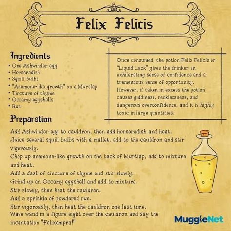 Harry Potter Potions Recipes, Harry Potter School Books, Harry Potter Potion Ingredients, Harry Potter Infographic, Harry Potter Script, Harry Potter Classes, Harry Potter Notebook, Harry Potter Scrapbook, Harry Potter Bedroom Decor