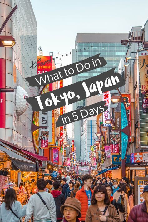 What to Do in Tokyo in 5 Days – Ideal Tokyo Itinerary - Travel on the Brain Hamarikyu Gardens, Tokyo Itinerary, Tokyo Trip, Japan Holiday, Japan Bucket List, Travelling Tips, Asia Trip, Japan Holidays, Asian Travel