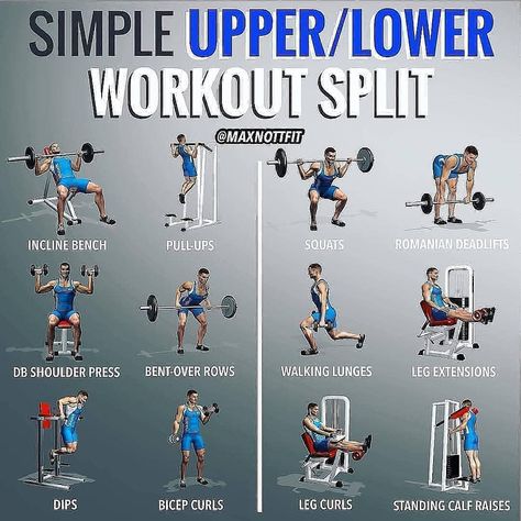 Splits Workout, Glute Guy, Push Pull Workout, Lower Workout, Compound Movements, Vacation Workout, Workout Split, Push Pull Legs, Workout Abs