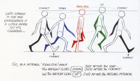 Walk Cycle Reference, Animation Walking, Animation Cycle, Walking Cycle, How To Do Animation, Cycle Animation, Animation Walk Cycle, Animation Frames, Cycle Design