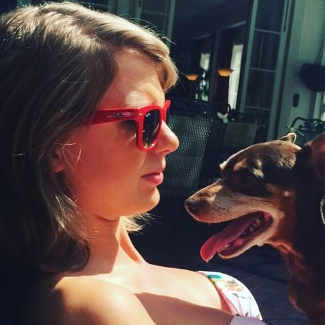 Singing Cat, Estilo Taylor Swift, Swift Photo, Taylor Swift Videos, Taylor Swift 1989, Long Live Taylor Swift, Miss Americana, Live Taylor, Taylor Swift Fan