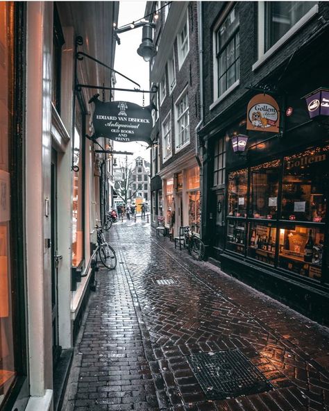 Amsterdam Vibe on Instagram: “Photo by: @ilove.amsterdam  Rainy Amsterdam ☔️ . . . .  #netherlands #amsterdam #holland #centralstation #iamsterdam #amsterdamworld…” Rainy Amsterdam, Europa Park Rust, May December, Europe Pics, Amsterdam Holland, Holland Netherlands, I Amsterdam, Walking In The Rain, Amsterdam Travel