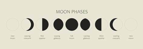 The Moon, Moon Phases on a black background. The whole cycle from the new moon to the full moon. Astronomy and lunar calendar vector illustration Calendar Vector, Moon Moon, Phase One, Lunar Calendar, Moon Cycles, The Full Moon, New Moon, Moon Phases, Crescent Moon