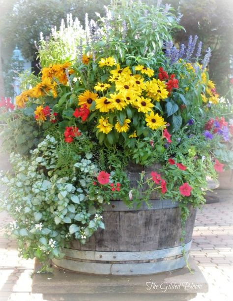 Love the flower combination in this old barrel! Wine Barrel Garden, Barrel Planter, Container Gardening Flowers, Have Inspiration, Garden Containers, Container Flowers, Garden Cottage, Lawn And Garden, Container Plants