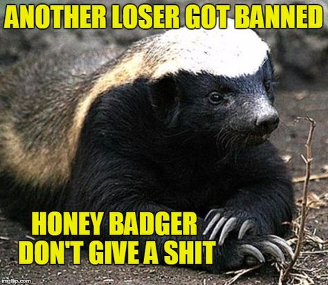 Loser Banned Honey Badger Meme, Honey Badger Humor, Fantastic Beasts Grindelwald, Honey Badgers, Warrior Poet, Funny One Liners, Toddler Behavior, Honey Badger, List Of Animals