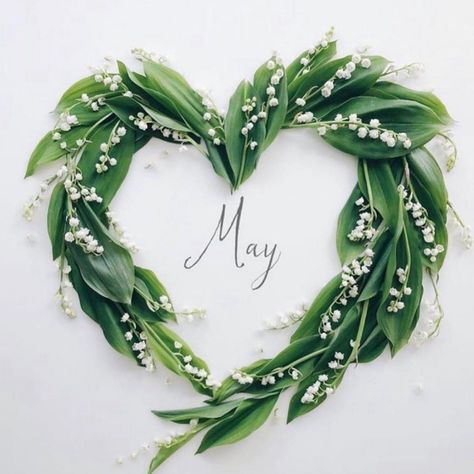 1 Er Mai Muguet, Neuer Monat, Seasons Months, Month May, Small Backyard Ideas, Aesthetic Garden, Garden Aesthetic, Hello May, Month Flowers