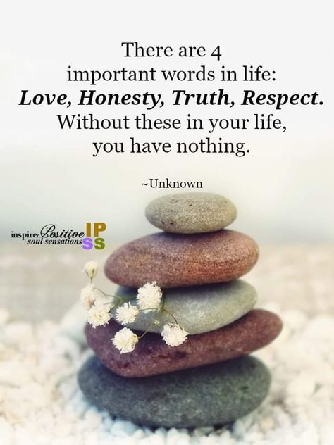 There are 4 very important words in life. • #Love #Honesty #Truth #Respect #LifeLessons #YouHaveNothing Inspire Positive Soul Sensations, Honesty Quotes, Powerful Phrases, Encouraging Quotes, Truth Of Life, Encouragement Quotes, Inspirational Quotes Motivation, Daily Inspiration, Wise Words