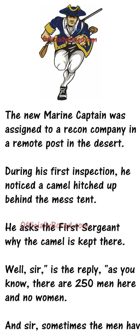 Marine Jokes, I Understand, A Month, Make You Smile, Funny Jokes, Tent, Camel, Bring It On, Humor