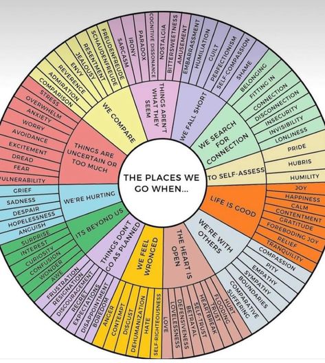 Emotion Regulation, I Need A Drink, Spiritual Counseling, Create Your Dream Life, She Made Me, Mental Health Facts, Cognitive Dissonance, Mental Health Therapy, Counseling Resources