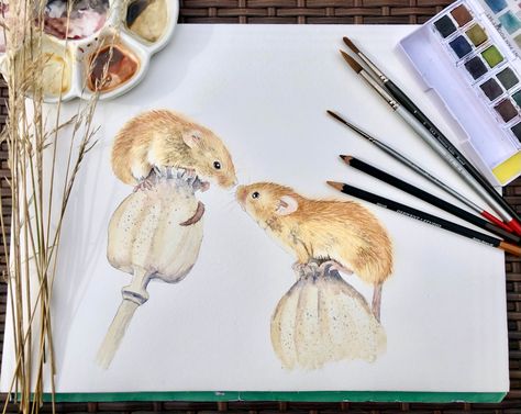 Harvest mouse on a poppy seed head, painting, watercolour, derwent graphitint, online painting tutorial Watercolour Mice, Direct Painting, Harvest Mouse, Basic Watercolor, Paintings Tutorials, Watercolor Tutorials, Watercolor Lessons, Diy Watercolor Painting, Learn How To Paint