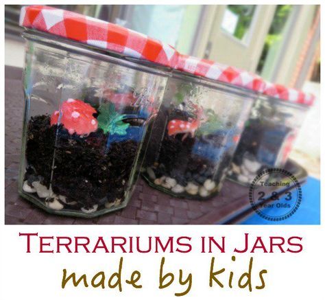 When your child is ready for simple gardening, you will want to know how to make a terrarium with kids. A great lesson on taking care of plants. Make A Terrarium, Gardening With Kids, Outdoor Learning Activities, Preschool Garden, Small Terrarium, Insect Control, Terrarium Diy, Preschool Science, Outdoor Learning