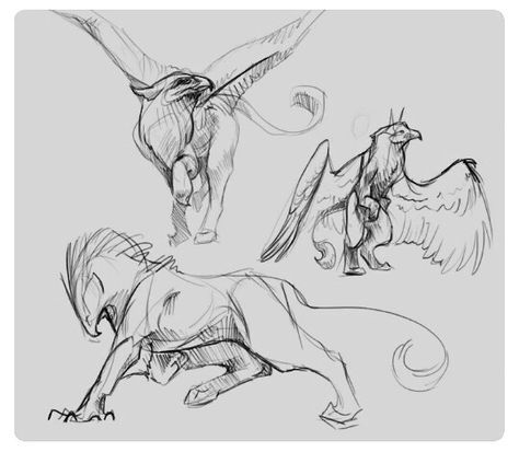 Sketch Page, Creatures Art, Creature Drawings, Unicorn Art, Super Busy, Mythical Creatures Art, Mythological Creatures, Creature Concept Art, Animal Sketches