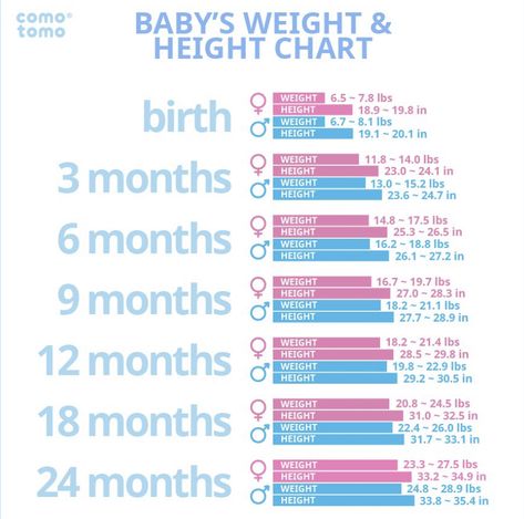 Baby Weight Gain Chart, Comotomo Bottle, Baby Weight Chart, Baby Timeline, Baby Development Chart, Baby Milestone Chart, Baby Growth Chart, Weight Chart, Baby Milestones Pictures