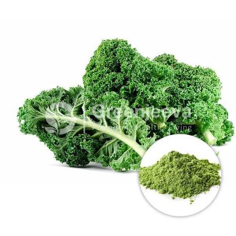 organic kale powder Kale Powder, Kale, Broccoli