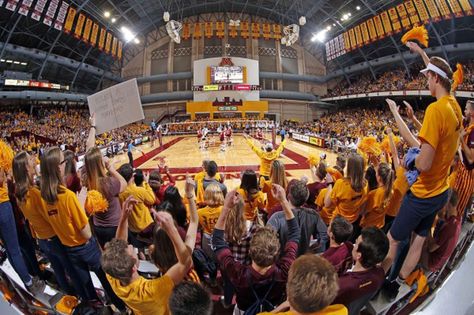 Minnesota Volleyball: NCAA Tournament Preview Minnesota Volleyball, Ncaa Volleyball, Life Activities, Minnesota Golden Gophers, Women Volleyball, University Of Minnesota, North Dakota, This Weekend, Ncaa