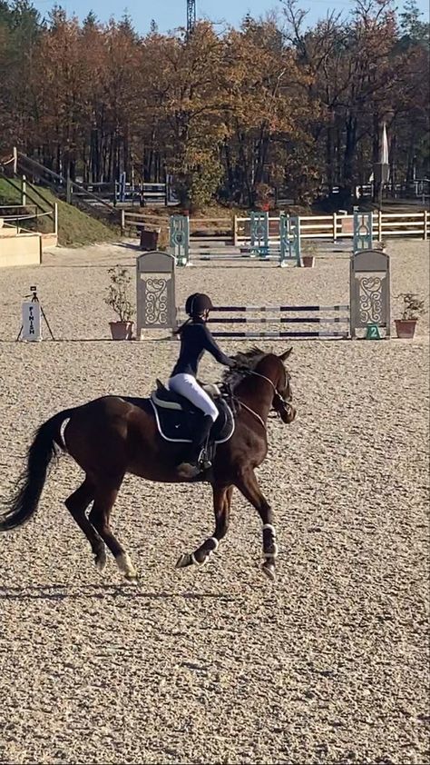 Equestrian Aesthetic Jumping, Aesthetic Show Jumping, Equestrian Life Aesthetic, Equestrian Aesthetic Outfit, Horse Jumping Aesthetic, Horse Riding Outfit Aesthetic, Aesthetic Horse Pictures, Horse Rider Aesthetic, Show Jumping Aesthetic