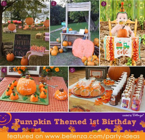 1st Bday Pumpkin Theme, 1st Birthday Pumpkin Theme Boy, Fall Fest First Birthday, 1st Birthday Cake Pumpkin Theme, October First Birthday Boy, Pumpkin Themed First Birthday, Pumpkin Fall Themed First Birthday, Fall Theme Cakes, Fall Birthday Invitations