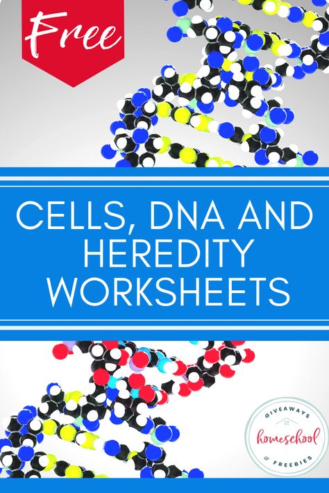 FREE Cells, DNA and Heredity Worksheets - Homeschool Giveaways Dna Worksheet, Dna Activities, History Notebook, Cells Worksheet, Cell Parts, Labeling Activities, Biology Worksheet, Study Hall, Homeschool Freebies