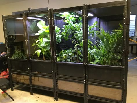 Tegu Enclosure, Large Plastic Storage Bins, Tortoise Table, Water Tub, Snake Shedding, Reptile Room, Komodo Dragon, Hiding Places, Led Grow