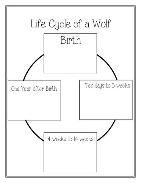 Raising Genius Wolf Habitat Projects For Kids, The Two Wolves Story, Cycle Of The Werewolf, Two Wolves Story, Third Grade Projects, Wolf Unit Study, Facts About Wolves, Animals Activities, Wolf Book