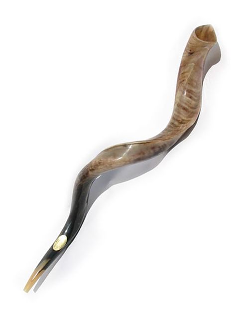 Yemenite Shofar Horn - Polished Unleaven Bread, Shofar Horn, Bible People, Jewish Proverbs, Indian Musical Instruments, Feasts Of The Lord, Jewish Heritage, 5 Star Review, Jewish Culture