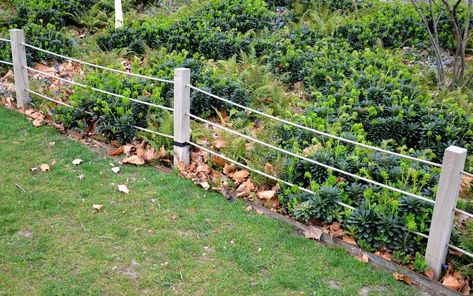 Protection of the flower bed from entrance of dogs people bikes other cars separates the flower bed lawn rope fence wooden posts royalty free stock photography Fence For Dogs, Lawn Path, Rope Fence, Mums Garden, Modern Gardening, Garden Escape, Landscape Borders, Small Fence, Pet Fence