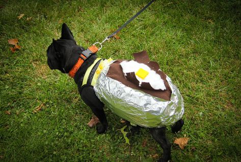 Potato Costume, Potato Dog, Pet Halloween Costumes, Dog Costumes, Dog Costume, Baked Potato, For Dogs, Animal Rescue, Potato