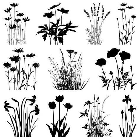 Stencils Printables Templates, Garden Illustration, Flower Silhouette, Cosmos Flowers, Bird Silhouette, Plant Illustration, Silhouette Art, Free Vector Graphics, Flower Illustration