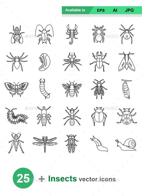 Insects Tattoo, Insects Kindergarten, Flash Art Tattoos, Insect Activities, Bug Tattoo, Insect Tattoo, Insect Photography, Handpoke Tattoo, Tattoo Flash Sheet