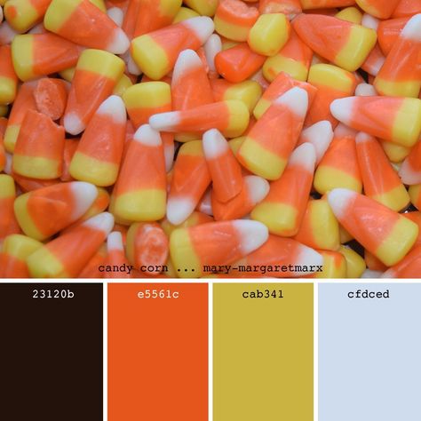 It’s Halloween week and we are loving all the spooky and festive colors that come along with this time of year!  We will be featuring color palettes this week that are inspired by all things Halloween.  Today’s inspiration comes from Candy Corn! Whether you love or hate it, there is no denying that the colors are a true representation of fall!    What are some of your favorite fall treats? Procreate Pallets, Halloween Color Palette, Pallet Halloween, Wardrobe Colour, Halloween Week, Halloween Color, Orange Candy, Autumn Orange, Color Schemes Colour Palettes