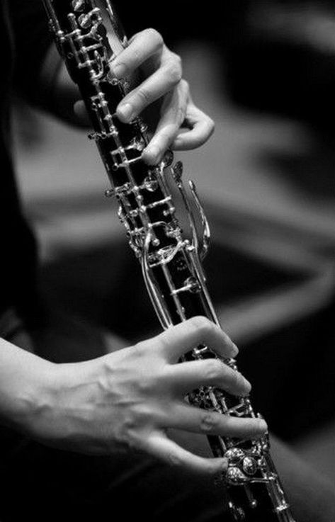 Arte Jazz, Clarinet Music, Instruments Art, Woodwind Instruments, Music Is My Escape, Soul Songs, Musical Band, Oboe, Making Music