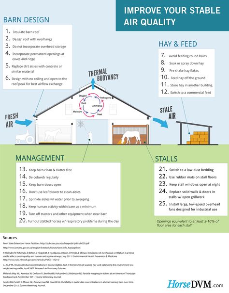 Methods of reducing dust and mold pathogens in the air in horse stables. Equestrian Stables, Horse Farm Ideas, Horse Barn Ideas Stables, Horse Barn Designs, Dream Horse Barns, Horse Barn Plans, Horse Facility, Horse Care Tips, Farm Layout