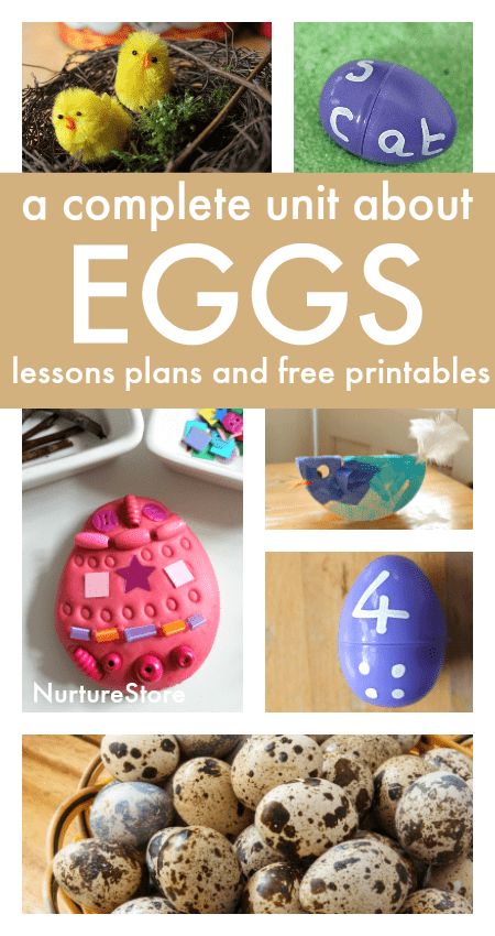 A complete egg unit with egg lesson plans and free printables An Egg Is Quiet Activities, Egg Theme Preschool, Wooden Eggs Crafts, Playing Preschool, Egg Science, Egg Experiments, Sensory Play Ideas, Easter Lessons, Preschool Units