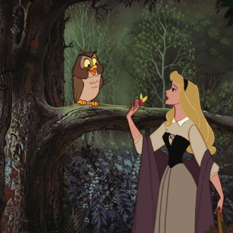 Princess Historical, Maleficent Aurora, Sleeping Beauty 1959, Disney Sleeping Beauty, Princesa Disney, Princess Aurora, Old Disney, Disney Aesthetic, Disney Stars