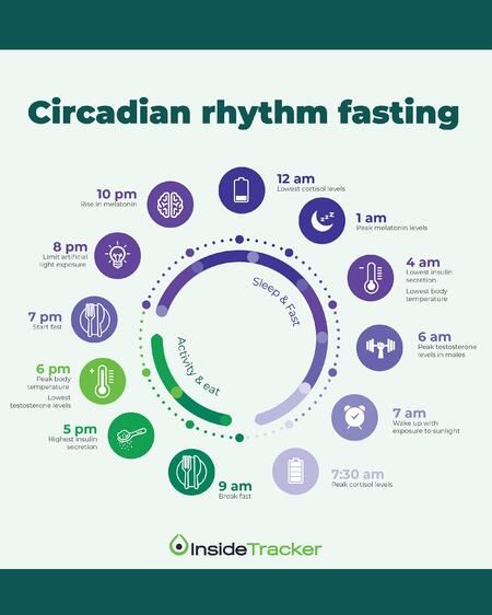 Circadian Rhythm Fasting: Eating to Align with Your Internal Clock Low Cortisol Levels, Body Clock, How To Sleep Faster, Glucose Levels, Blood Glucose, Cortisol Levels, Body Energy, Testosterone Levels, Body Healing