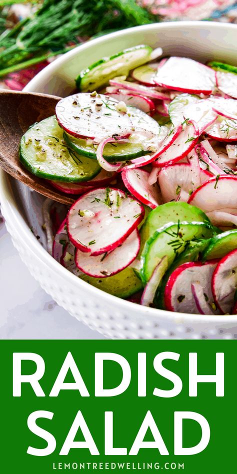 Radish Salad Recipe, Cucumber Radish Salad, Vegetable Salads, Radish Recipes, Fresh Salad Recipes, Radish Salad, Cucumber Recipes Salad, Best Salad Recipes, Cucumber Recipes