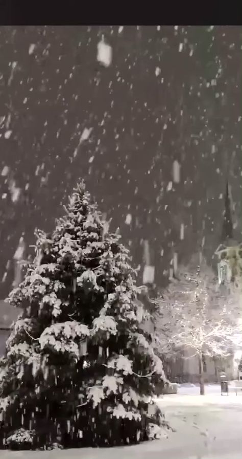 Heavy Snowfall, Heidelberg Germany, Winter Is Here, Video Credits, Severe Weather, Last Night, Take A, Nature Photography, Germany