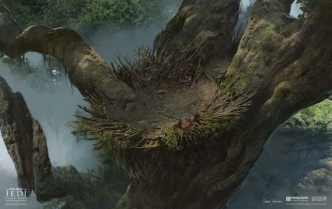 ArtStation - Kashyyyk Nest Shrines, Gabriel Yeganyan King Kong Skull Island, Nest Art, Environment Painting, Bird Nests, Dragon Nest, Beautiful Horse Pictures, Alien Concept, Landscape Concept, Alien Concept Art