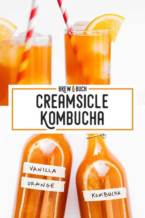 Strawberry Kombucha Recipe, Kombucha Flavours, Kombucha Diy, Orange Kombucha, Kombucha Flavors Recipes, Vanilla Drink, Brewing Kombucha, Probiotic Recipes, Kombucha Recipes