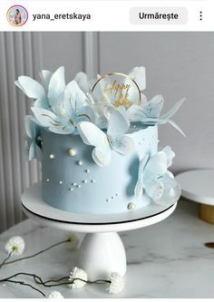 Birthday Cake Decorating Ideas, 1st Birthday Cakes, Cake Decorating Ideas, A Birthday Cake, Simple Birthday, Blue Cakes, Creative Birthday, Simple Birthday Cake, Fruit Carving