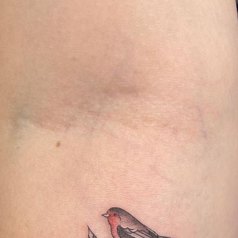 ladyhans on Instagram: "Look how cute this tiny robin is on Leanne! 
•
•
•
•
•
#robin #robintattoo #tattoo #love #illustration #fineline #nature #ormskirk #ormskirktattoo #liverpooltattoo #liverpool #botanicaltattoo #botanical #finelinetattoo" Robin Tattoo, Liverpool Tattoo, Tattoo Love, Botanical Tattoo, Love Illustration, Instagram Look, Fine Line Tattoos, Liverpool, Tattoos